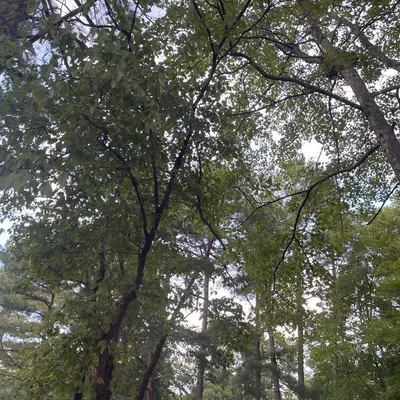 G&M landscape Company