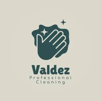 Valdez Professional Cleaning & Multi Services