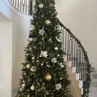 Holiday Haven
