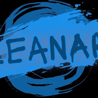 Cleanart Services
