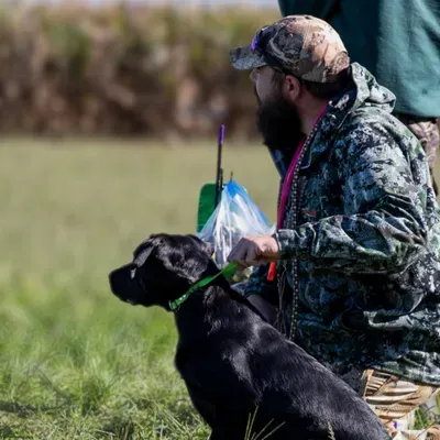 Good Human Canine Services