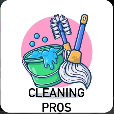 Cleaning pros