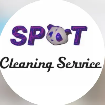 Spots cleaning service