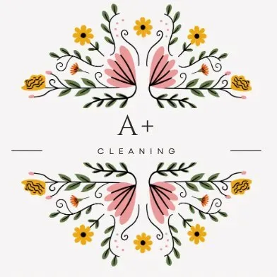 A+ CLEANING