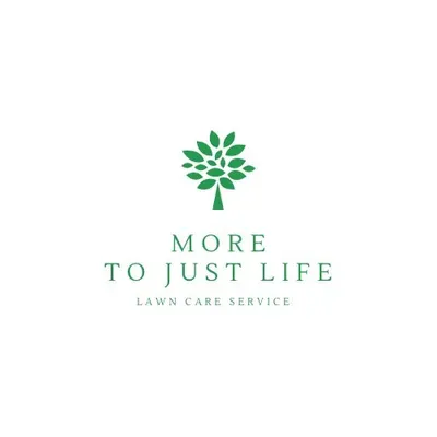 More to just life llc