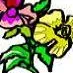 Sue's Custom Gardens (C27-899727)