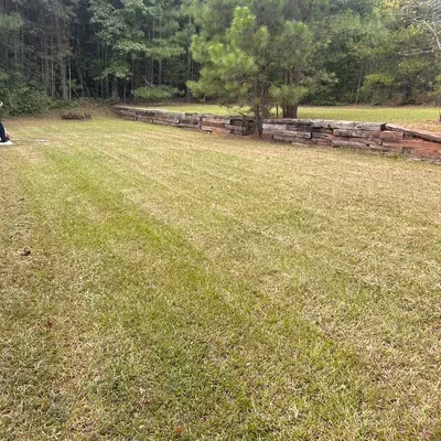 Deon’s landscape