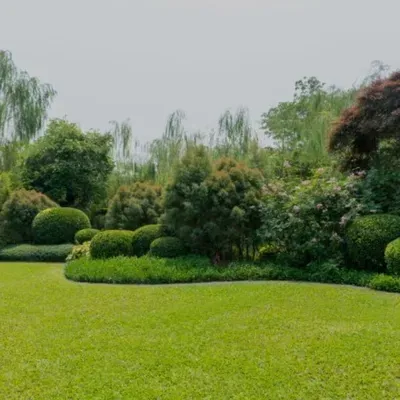 Prosperity Lawn care