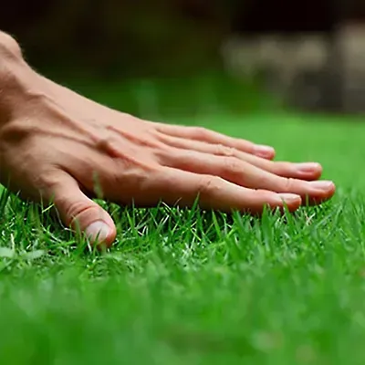 Lawn Lovers LLC