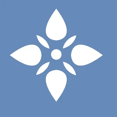 Clean Nest LLC