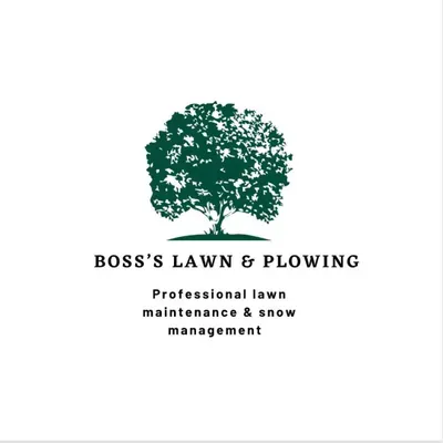 Boss's Lawn&Plowing