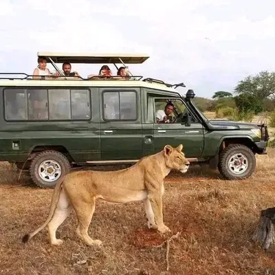 Good Earth Expedition Travels