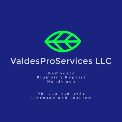 Valdes Pro Services LLC