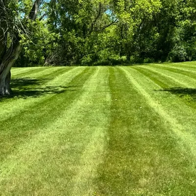 Total power washing and mowing LLC