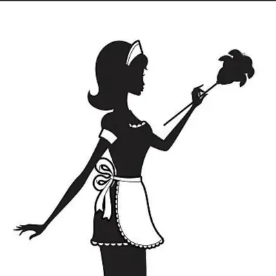 Girls Next Door Cleaning Services