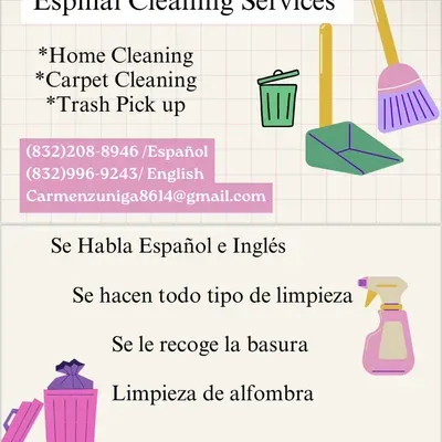 Espinal cleaning Service