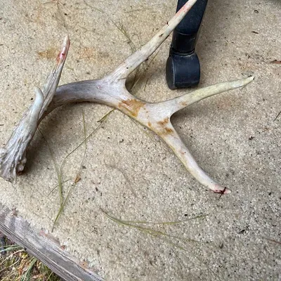 Masons Handy work