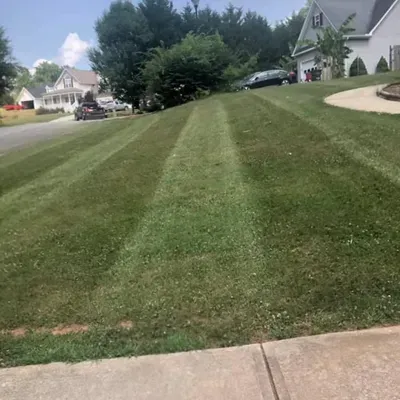 Wilson and sons lawn care