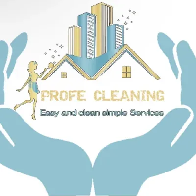 Profe Cleaning