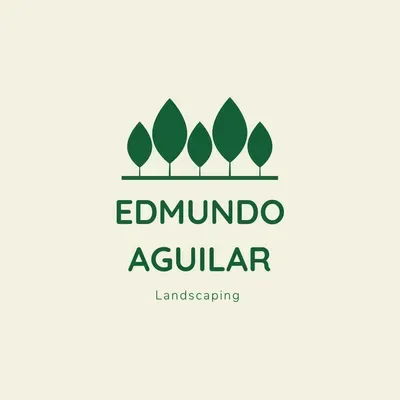 Edmundo LLC landscaping