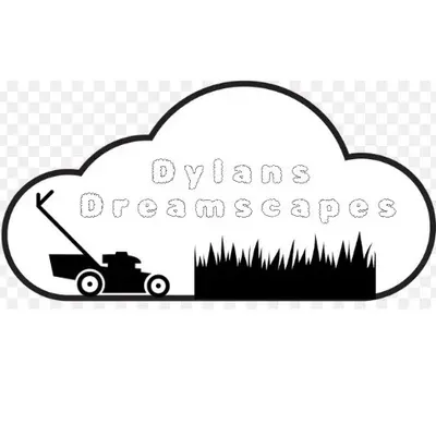Dylan’s dreamscapes
