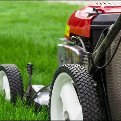 Nathaniel lawn Services