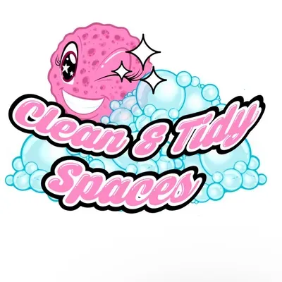 Clean & Tidy Spaces LLC