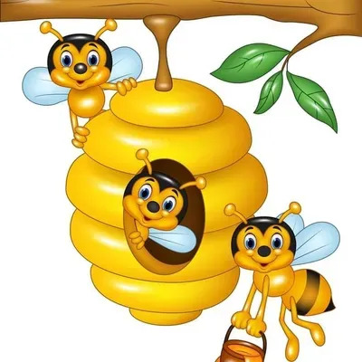 TidyHive Crew