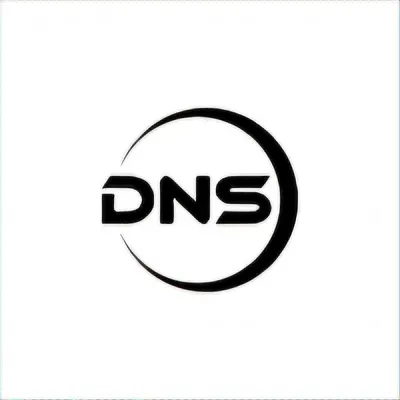 DNS LLC