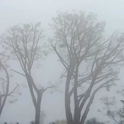 Gutierrez Landscape