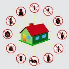 Complete Pest Control Services