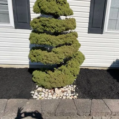 Kams lawn care