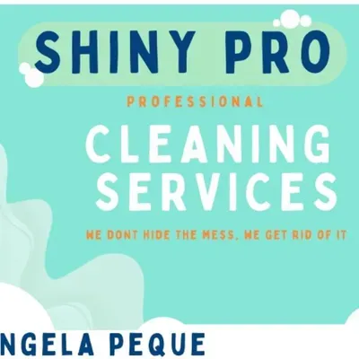 Shiny pro