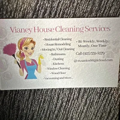 Clean house services