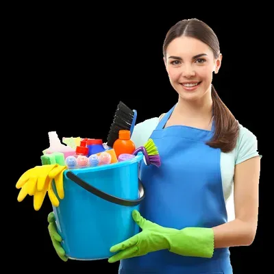 Delcy house cleaning service