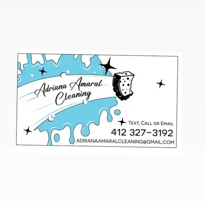Adriana Amaral cleaning