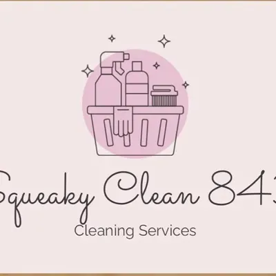 SqueakyClean843