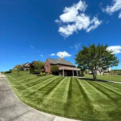 MARIO•S LAWN AND LANDSCAPING