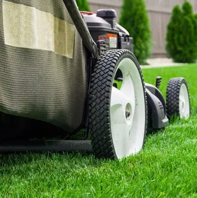 Johnny Mows