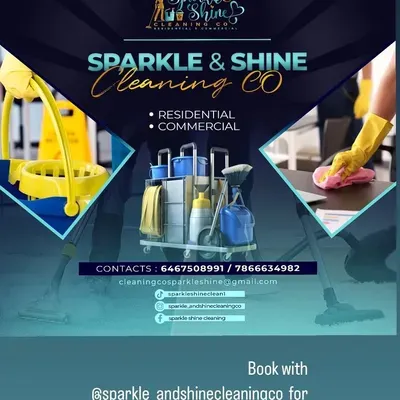 Sparkle & Shine Cleaning Co.