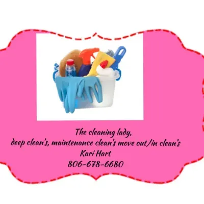 The cleaning lady