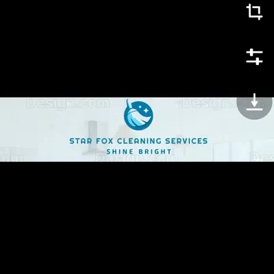 Star Fox Home And Cleaning Services, LLC