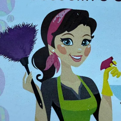 Josselin cleaning service
