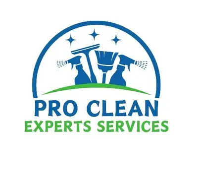 pro clean Experts services