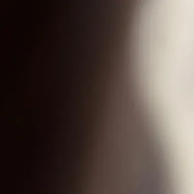 Cleaning service