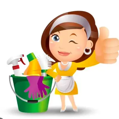 Lady's Cleaning