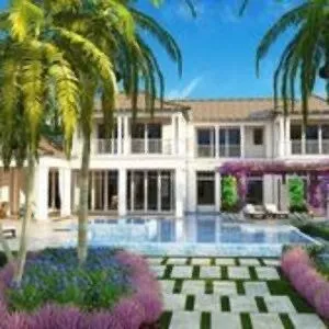 Precision Landscape Design SWFL