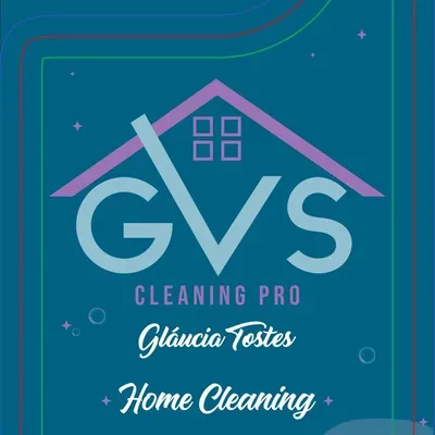GVS Cleaning Pro