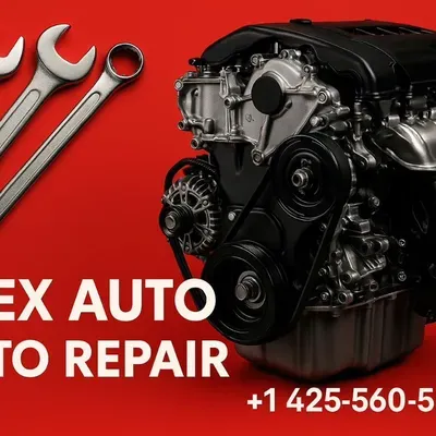 Alex4255605284