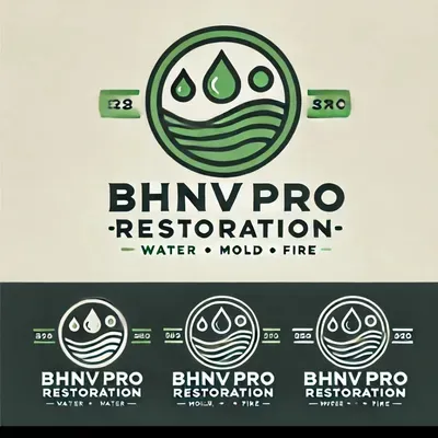 BhnvProRestoration